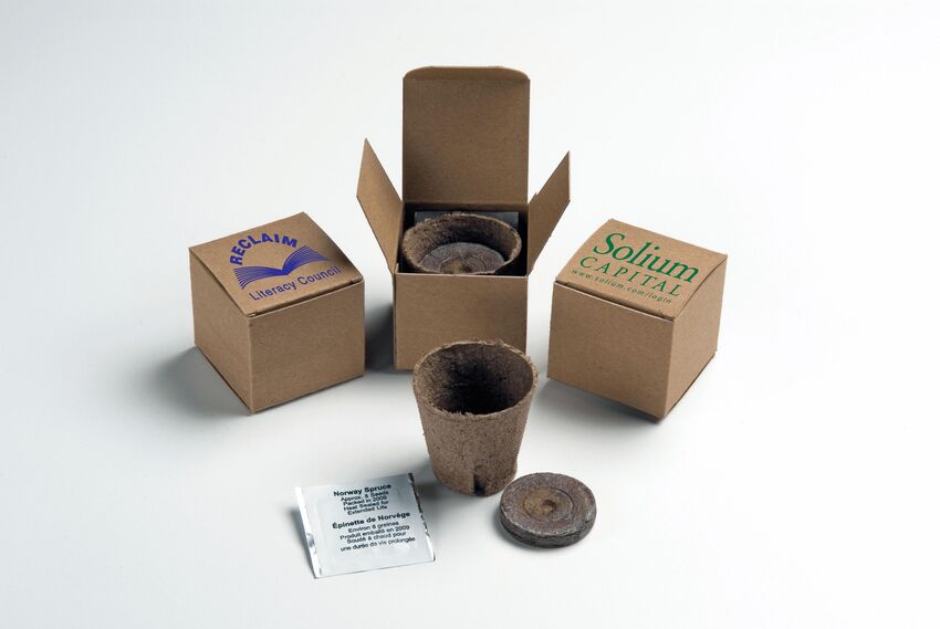 Jay-line - Arbre à planter dans une boîte recyclée SP-RCBOX