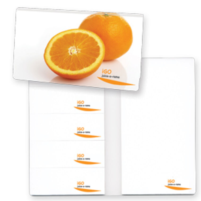 MiniMedia - Carnet exécutif avec tablettes à feuilles adhésives multiples MTC3561