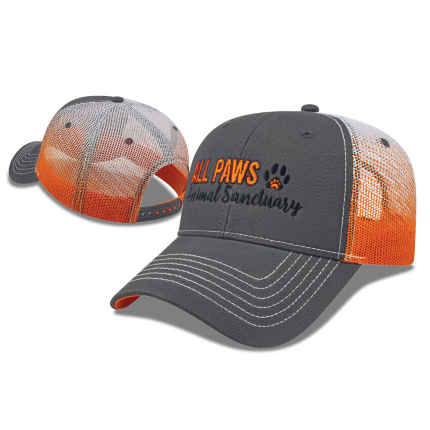 dml creation - Casquette avec filet aux couleurs dégradées I1076