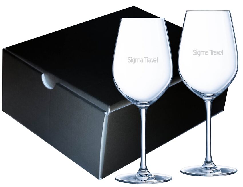 DezineCorp - Ensemble de 2 verres à vin en chrystalline G8311CL-21BK