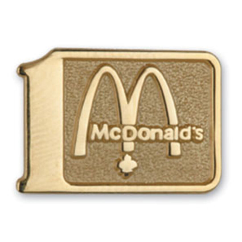 CNIJ - épinglette personnalisée, frappée DSI-1