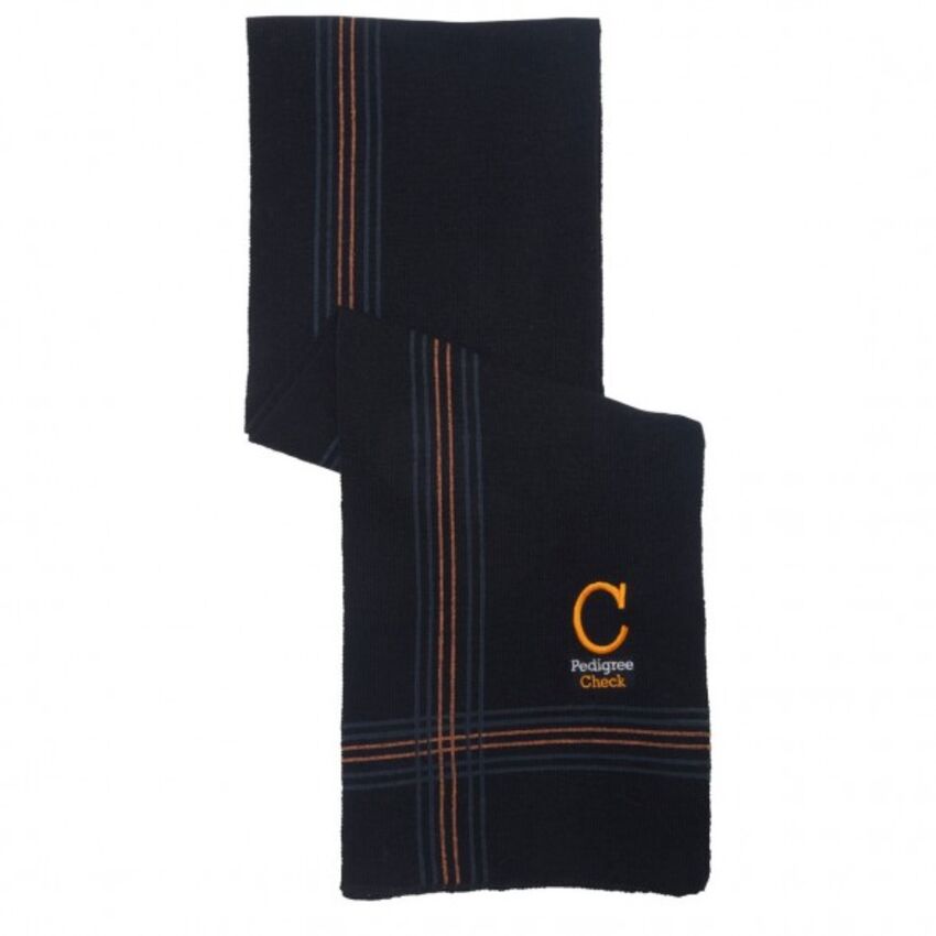 fits - Foulard motif à carreaux 159