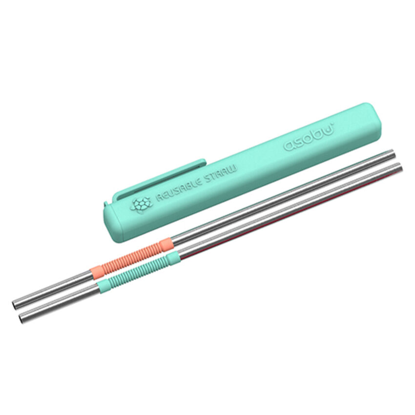 adnart - PAILLES RÉUTILISABLES PS2