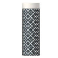bouteille-en-acier-inoxydable-17-oz-2