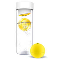 bouteille-en-verre-avec-son-glacon-5