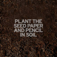 crayon-a-mine-avec-semences-de-basilic-3