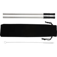Ensemble de paille en inox et brosse