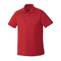 polo-puma-2