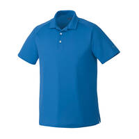 polo-puma-4