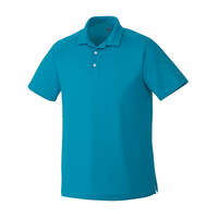 polo-puma-5